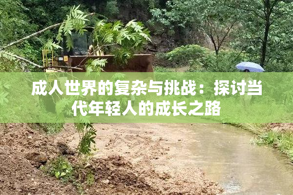 成人世界的复杂与挑战：探讨当代年轻人的成长之路