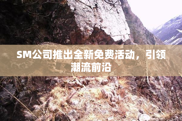 SM公司推出全新免费活动，引领潮流前沿