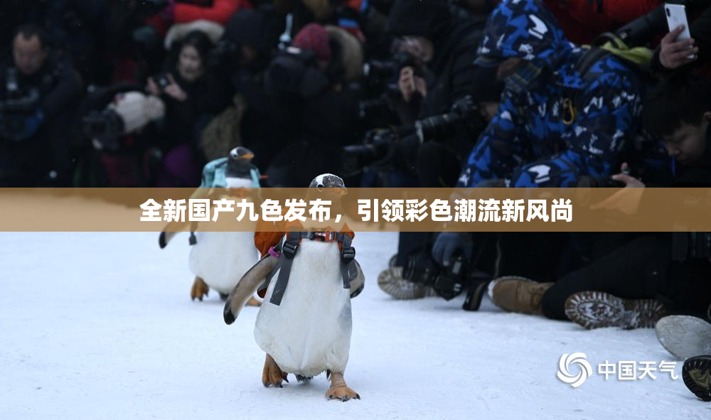 全新国产九色发布，引领彩色潮流新风尚