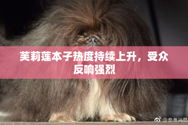 芙莉莲本子热度持续上升，受众反响强烈