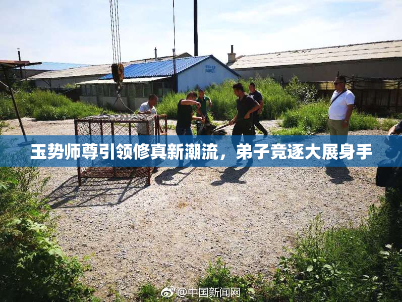 玉势师尊引领修真新潮流，弟子竞逐大展身手