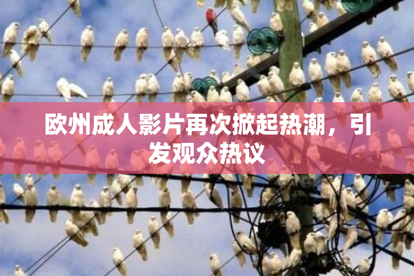 欧州成人影片再次掀起热潮，引发观众热议