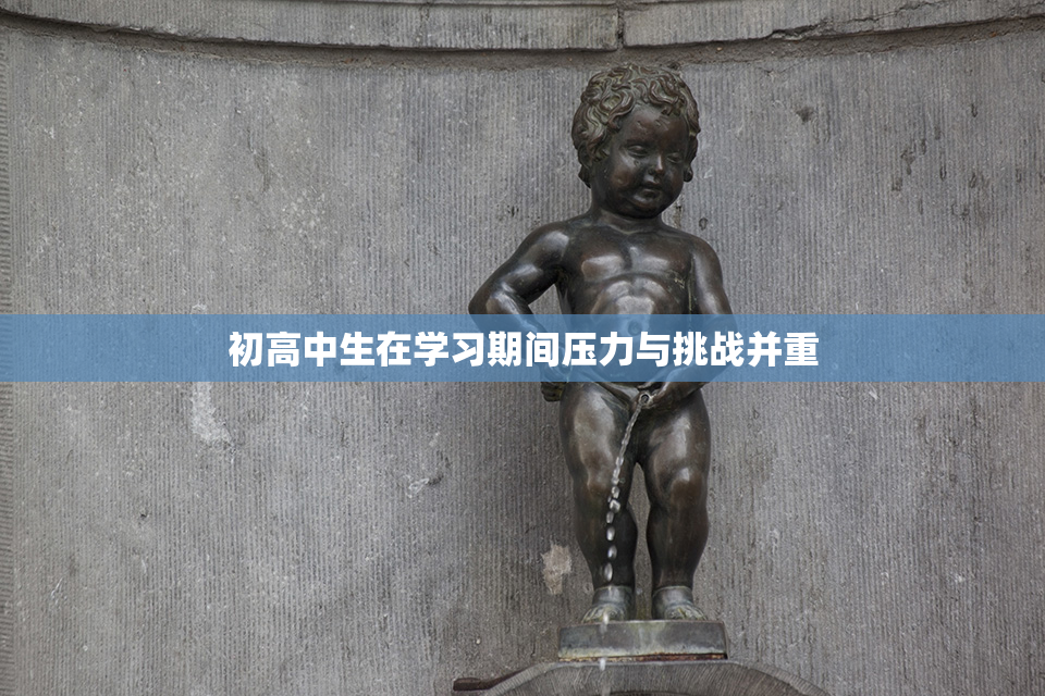 初高中生在学习期间压力与挑战并重