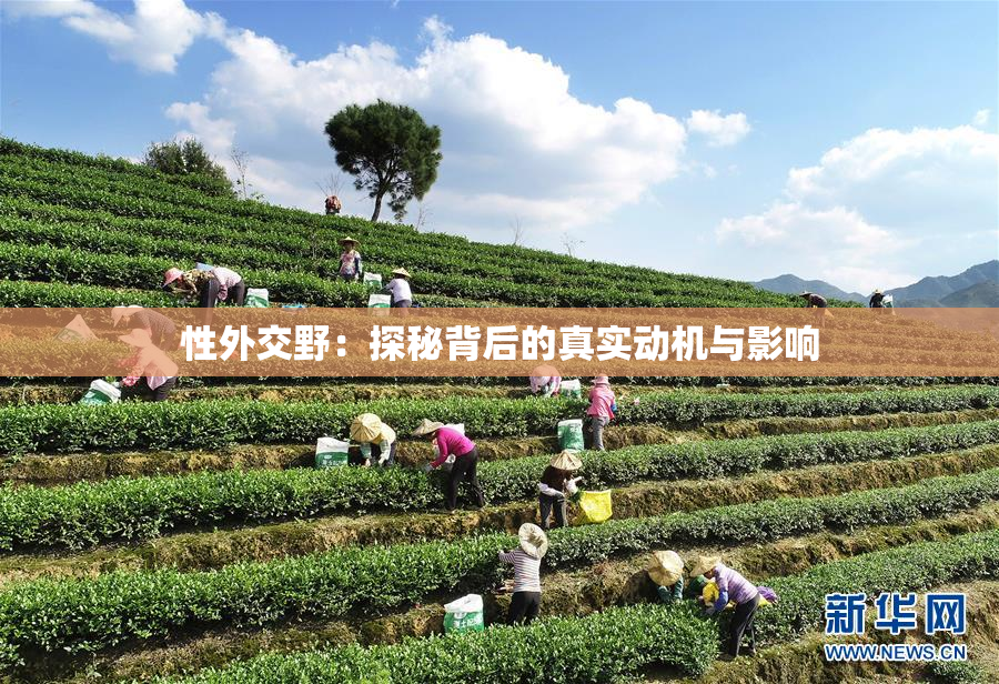 性外交野：探秘背后的真实动机与影响