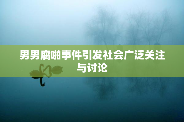 男男腐啪事件引发社会广泛关注与讨论
