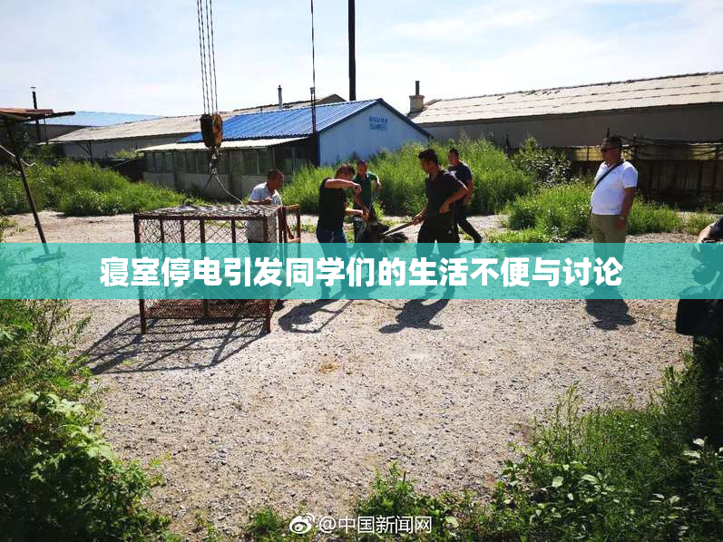 寝室停电引发同学们的生活不便与讨论