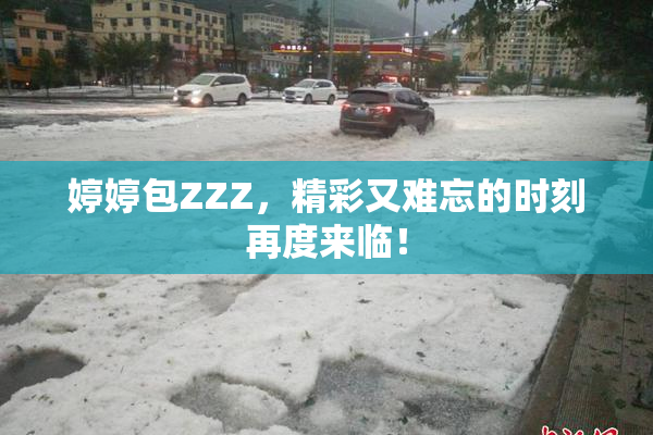 婷婷包ZZZ，精彩又难忘的时刻再度来临！