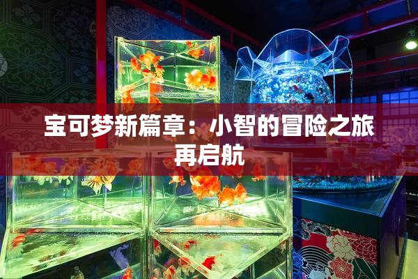 宝可梦新篇章：小智的冒险之旅再启航