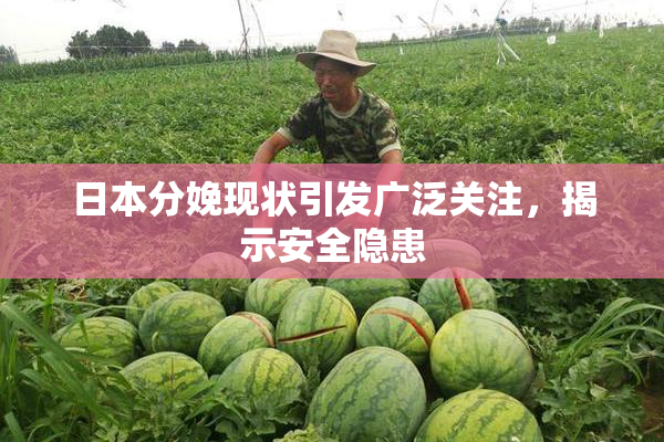 日本分娩现状引发广泛关注，揭示安全隐患