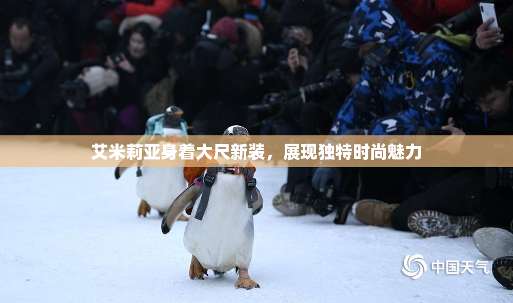 艾米莉亚身着大尺新装，展现独特时尚魅力