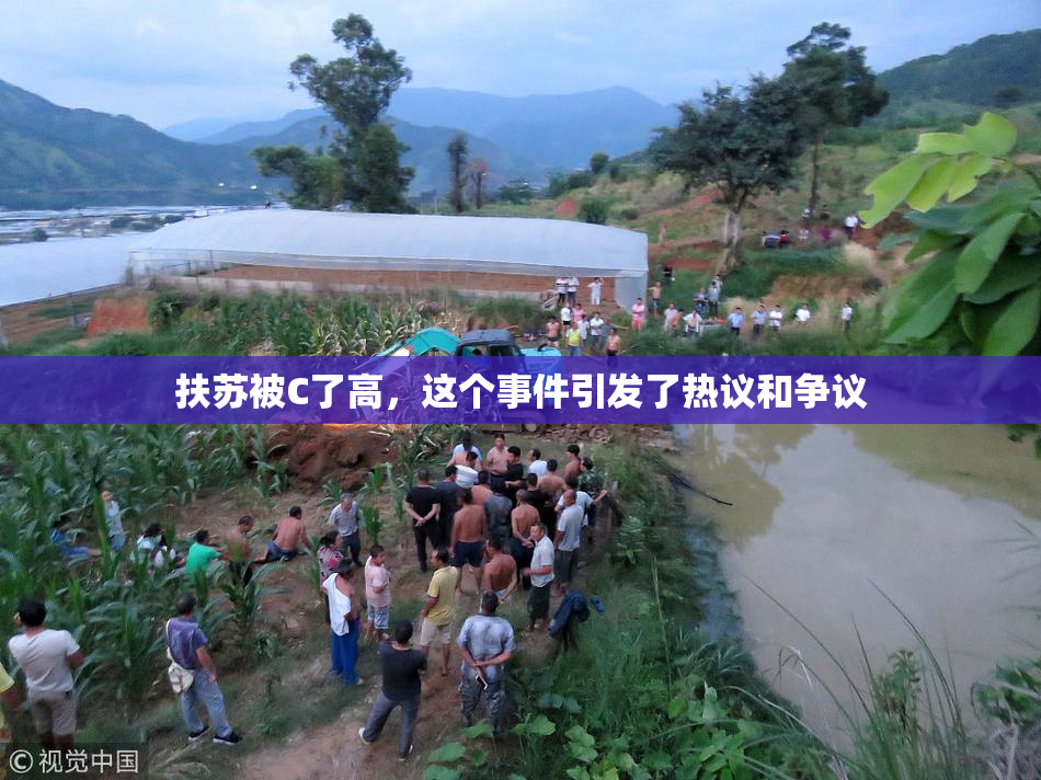 扶苏被C了高，这个事件引发了热议和争议