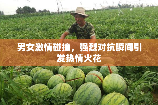 男女激情碰撞，强烈对抗瞬间引发热情火花