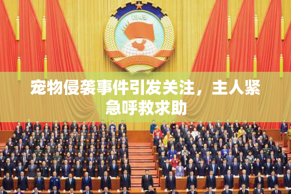 宠物侵袭事件引发关注，主人紧急呼救求助