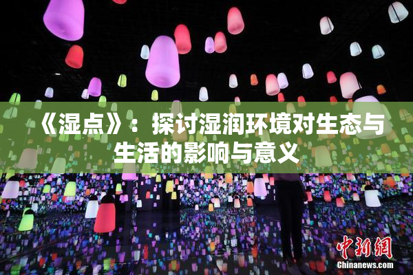 《湿点》：探讨湿润环境对生态与生活的影响与意义