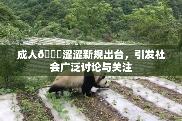 成人🔞涩涩新规出台，引发社会广泛讨论与关注