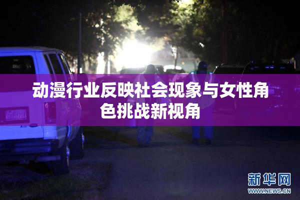 动漫行业反映社会现象与女性角色挑战新视角