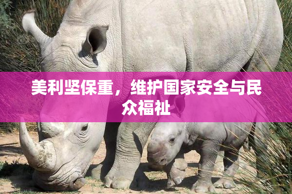 美利坚保重，维护国家安全与民众福祉