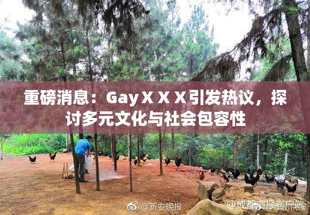重磅消息：GayⅩⅩⅩ引发热议，探讨多元文化与社会包容性