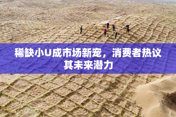 稀缺小U成市场新宠，消费者热议其未来潜力