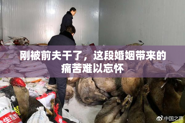 刚被前夫干了，这段婚姻带来的痛苦难以忘怀