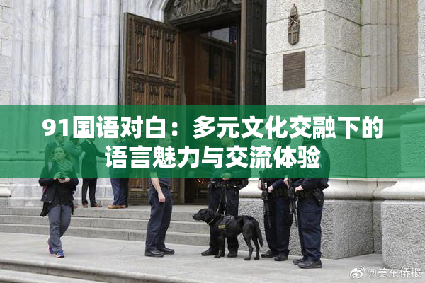 91国语对白：多元文化交融下的语言魅力与交流体验