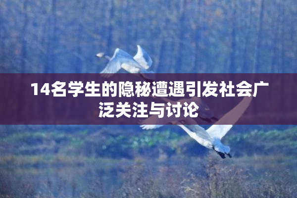 14名学生的隐秘遭遇引发社会广泛关注与讨论