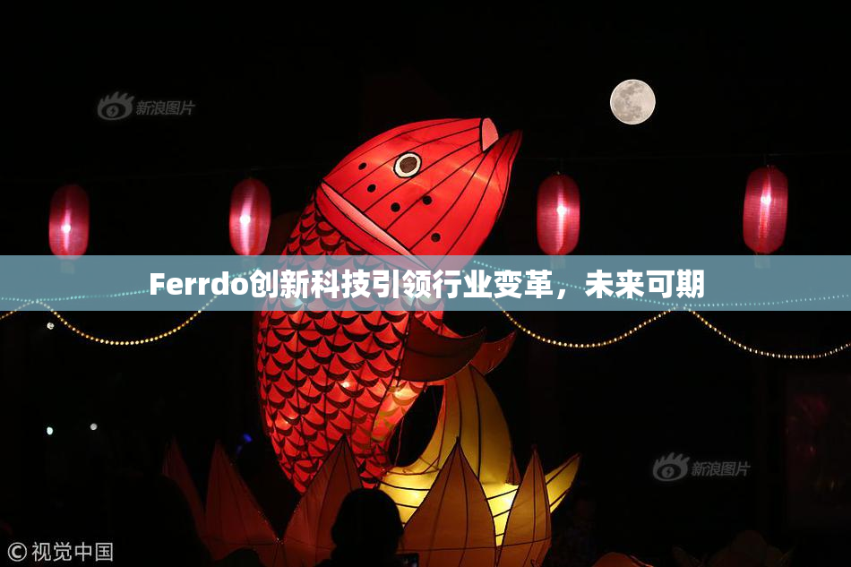 Ferrdo创新科技引领行业变革，未来可期