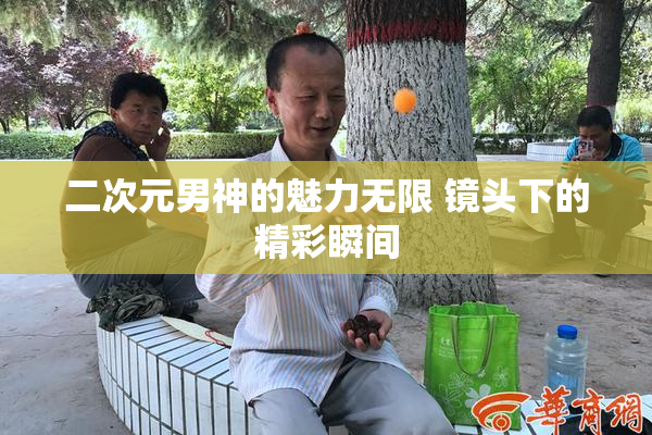 二次元男神的魅力无限 镜头下的精彩瞬间