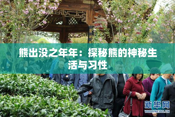 熊出没之年年：探秘熊的神秘生活与习性