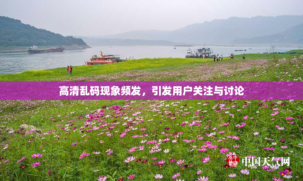 高清乱码现象频发，引发用户关注与讨论