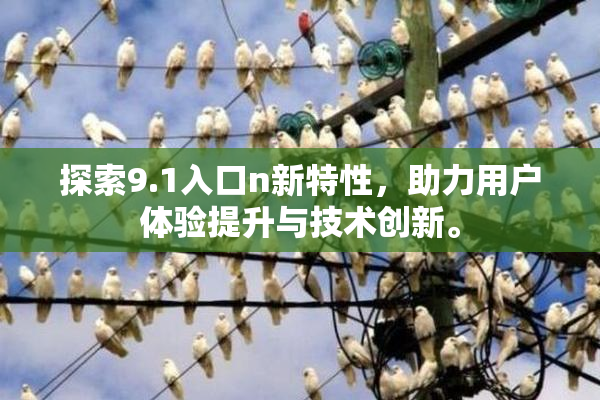 探索9.1入口n新特性，助力用户体验提升与技术创新。