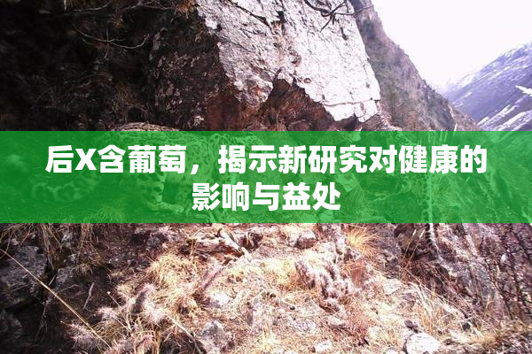 后X含葡萄，揭示新研究对健康的影响与益处