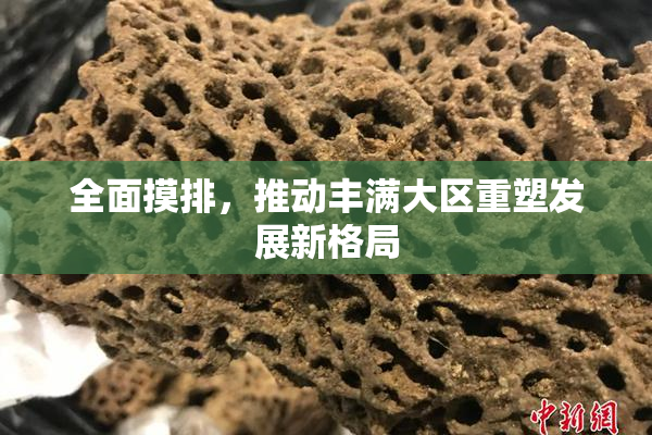 全面摸排，推动丰满大区重塑发展新格局