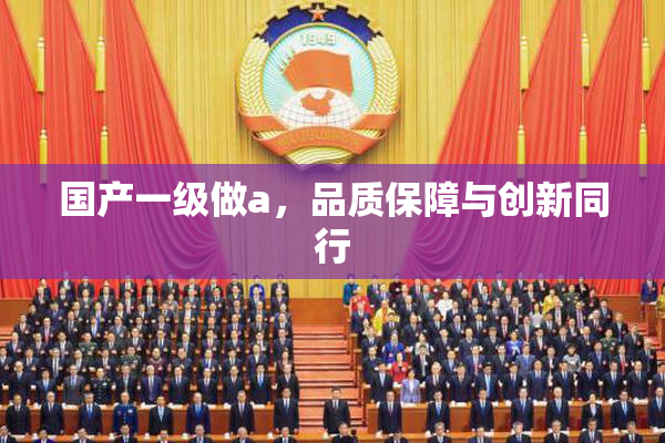 国产一级做a，品质保障与创新同行