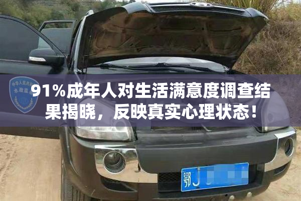 91%成年人对生活满意度调查结果揭晓，反映真实心理状态！