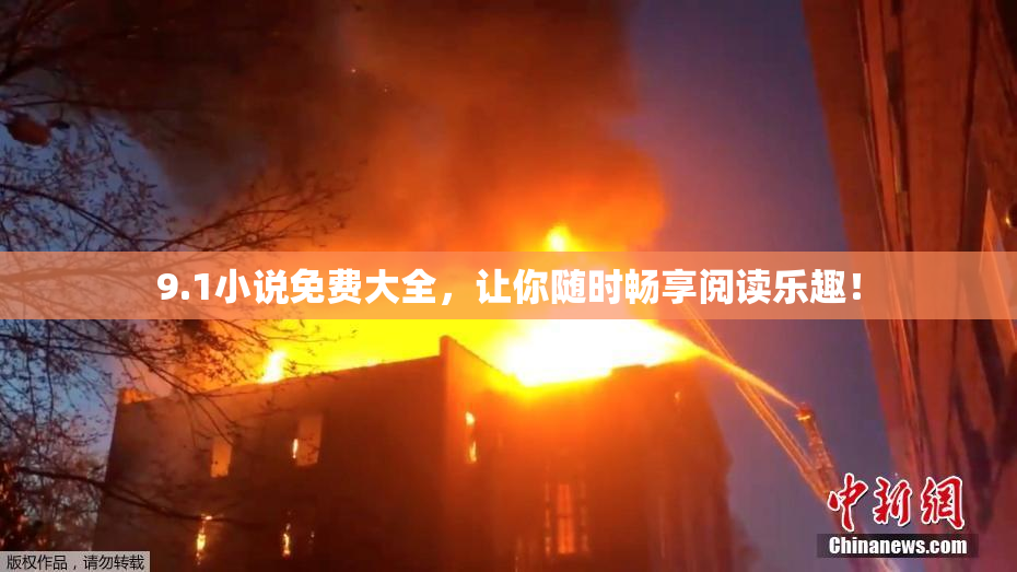 9.1小说免费大全，让你随时畅享阅读乐趣！