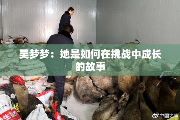 吴梦梦：她是如何在挑战中成长的故事