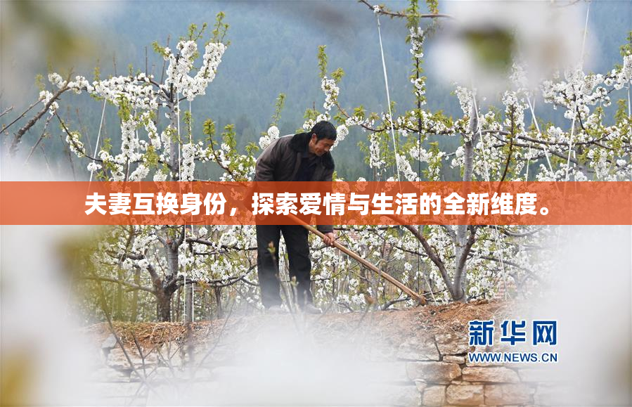 夫妻互换身份，探索爱情与生活的全新维度。