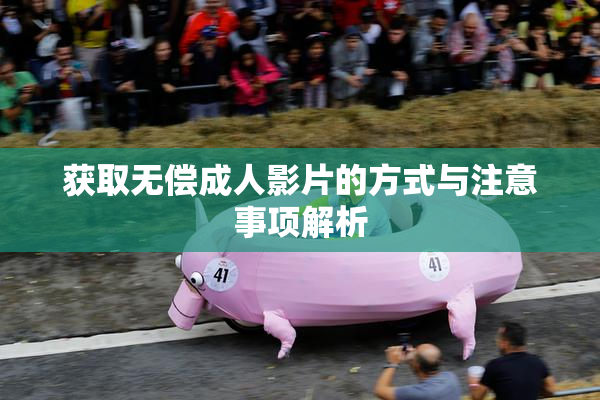 获取无偿成人影片的方式与注意事项解析