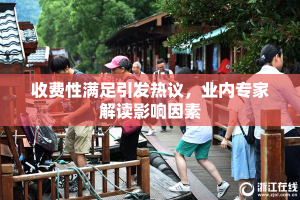 收费性满足引发热议，业内专家解读影响因素