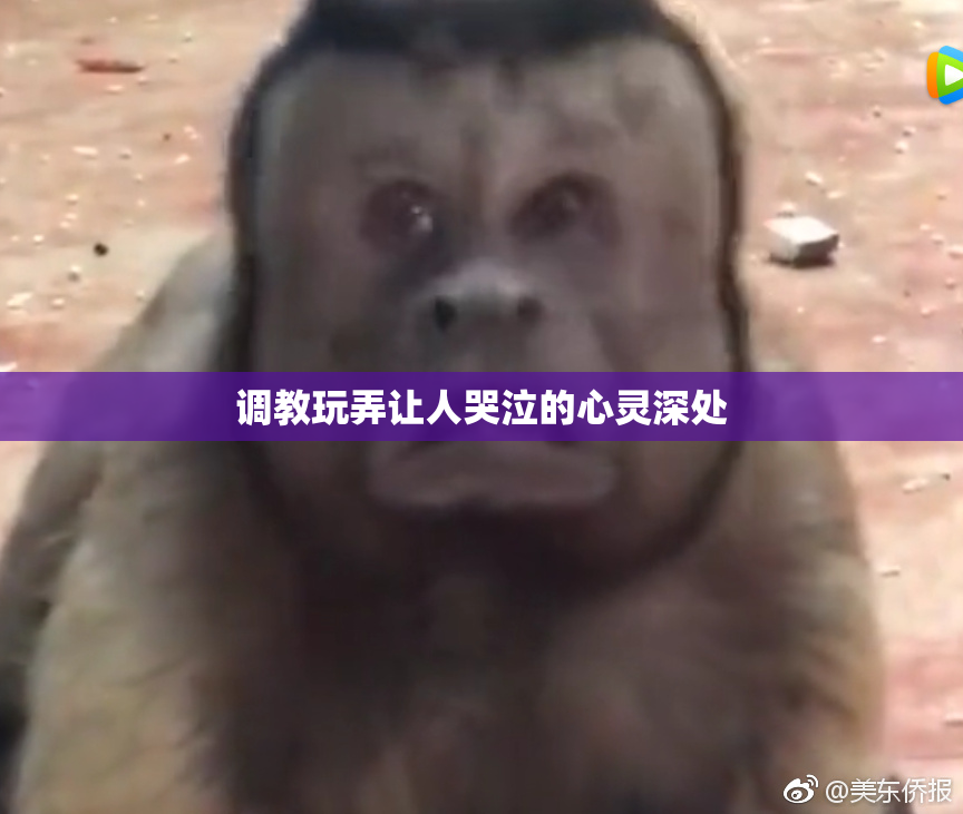 调教玩弄让人哭泣的心灵深处