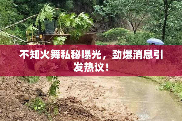 不知火舞私秘曝光，劲爆消息引发热议！