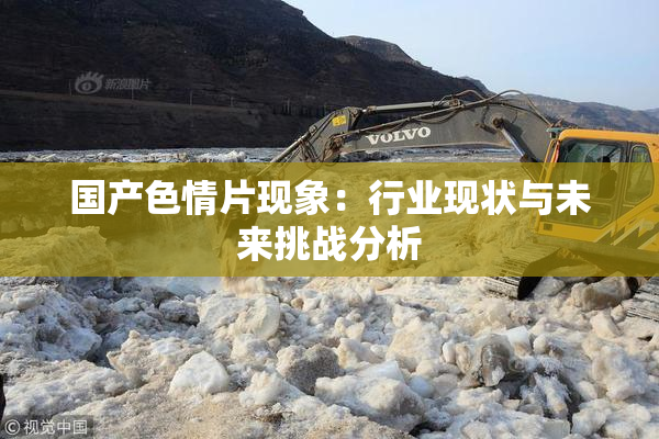 国产色情片现象：行业现状与未来挑战分析