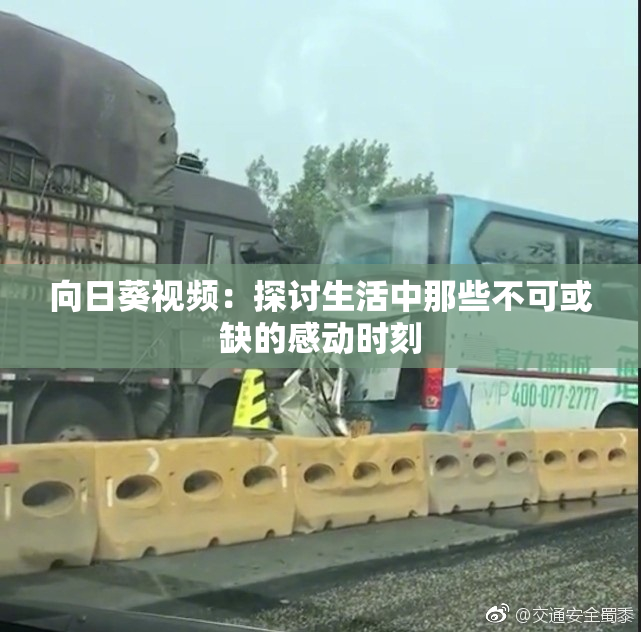 向日葵视频：探讨生活中那些不可或缺的感动时刻