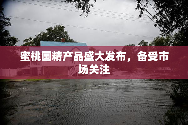 蜜桃国精产品盛大发布，备受市场关注