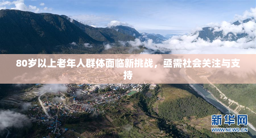 80岁以上老年人群体面临新挑战，亟需社会关注与支持
