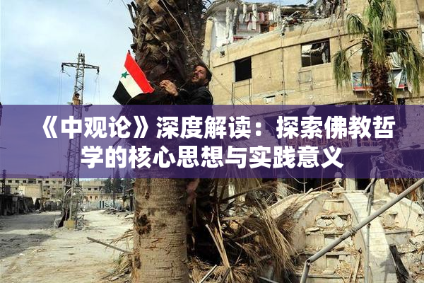 《中观论》深度解读：探索佛教哲学的核心思想与实践意义