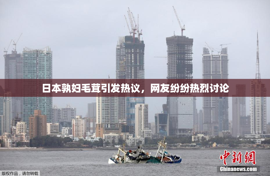 日本孰妇毛茸引发热议，网友纷纷热烈讨论
