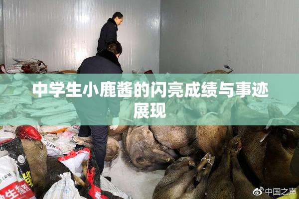 中学生小鹿酱的闪亮成绩与事迹展现