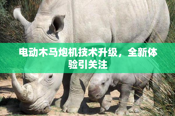 电动木马炮机技术升级，全新体验引关注